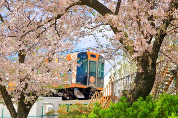 Osaka-Kobe Transportation Package | Hanshin Electric Railway and Port Liner One-Day E-Ticket
