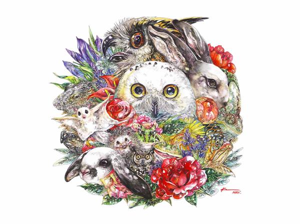 ふくろうカフェ鎌倉(かわいい生きものミュージアム) 入館チケット(鎌倉市)