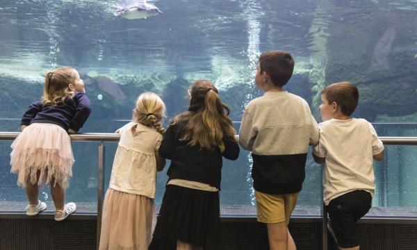 International Antarctic Centre Ticket | New Zealand