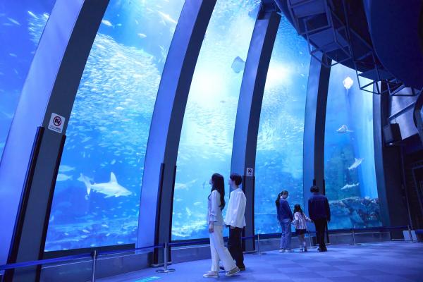 横浜 八景島シーパラダイス ワンデーパス 4水族館+アトラクション付