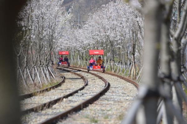 Gyeonggang Railbike Tickets | Gangchon