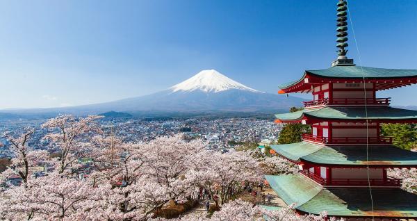 【1人成團】日本富士山河口湖一日遊|五合目・富士山全景纜車/河口湖遊船・忍野八海・新倉山淺間公園・大石公園|東京出發