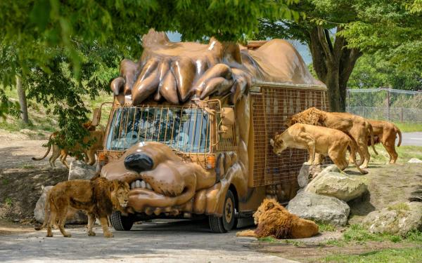 [Group Package for 1] Kyushu Zoo Day Tour | Kyushu Oita Safari Park, Yufuin, and Usa Jingu Shrine | Zoo Admission Included | Departs from Fukuoka