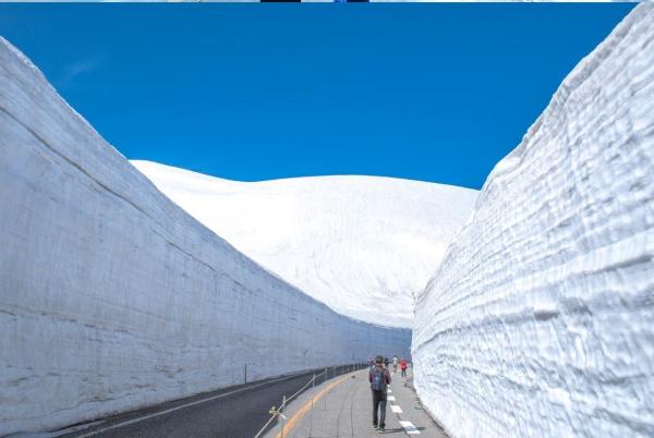 Tateyama Kurobe Snow Wall 2026 Festival 1 Day Bus Tour from Nagoya
