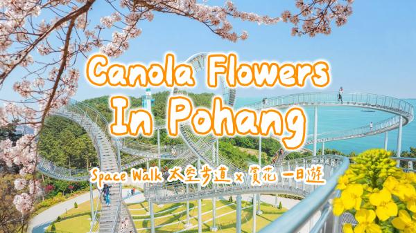 浦項日帰りツアー|湖水公園周辺の宇宙散歩、九龍浦の日本家屋の道、虎尾岬(釜山発)