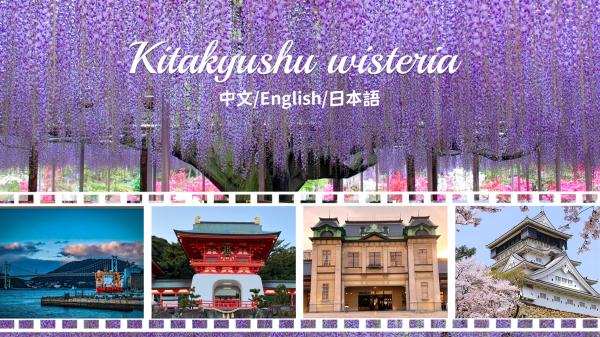 Kyushu Fukuoka Wisteria Day Tour|Kawachi Fuji Garden, Kokura Castle, Moji Port, Akama Jingu Shrine (Depart from Fukuoka)