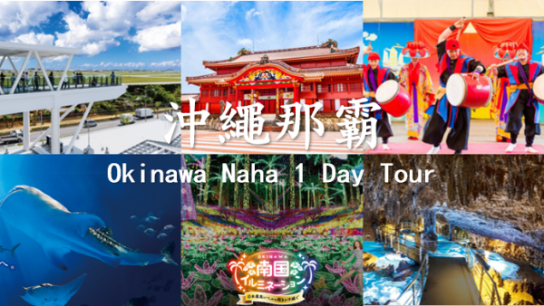 [One-day cruise on shore] Half-day tour and one-day tour of Okinawa Naha, Japan|MSC Bellissima|Coata Serena|Chinese tour guide