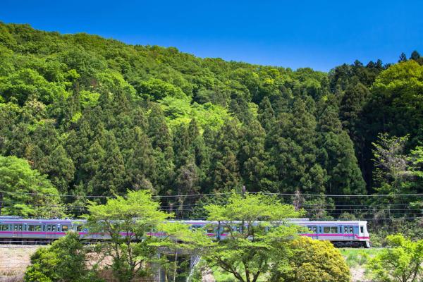 게이오 1일 티켓 + 타카오산 케이블카 & 체어리프트 티켓 | 일본 도쿄