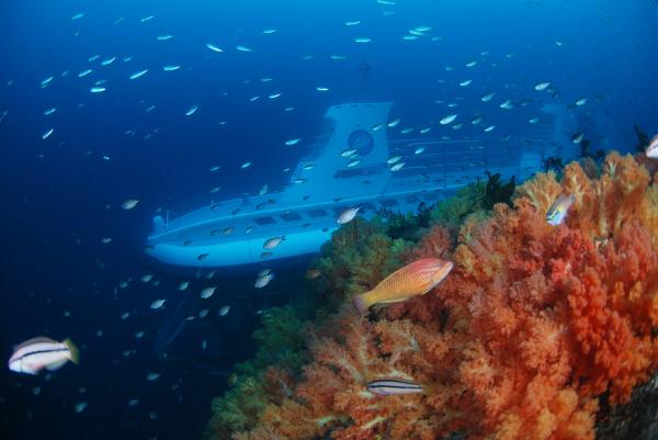【【絕美海底秘境】濟州島西歸浦潛水艇體驗