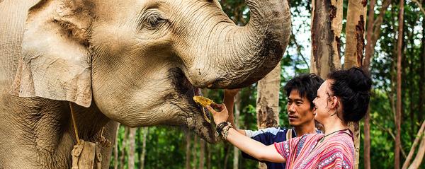 【【Elephant Jungle Sanctuary】清邁大象友善半日體驗營
