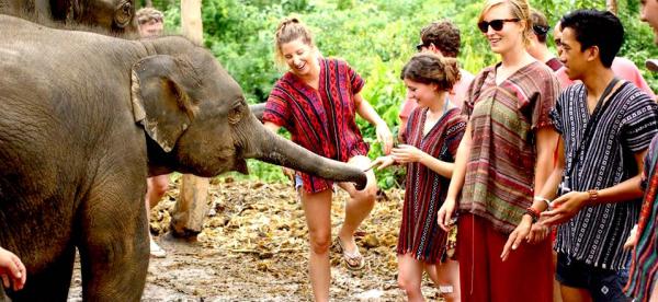 【【Elephant Jungle Sanctuary】清邁大象友善一日體驗營