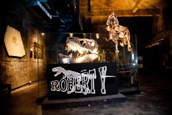 Yilan|Suao Robert Y Ruin Tyrannosaurus Museum Package