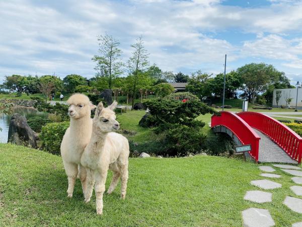 Yilan Green Dance Japanese Theme Park Ticket