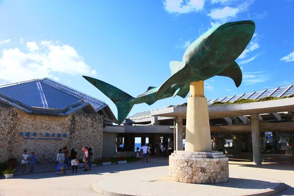 【1名様から催行】沖縄観光スポット日帰りツアー|美ら海水族館、古宇利島、万座毛で4時間滞在(中国語ガイド)