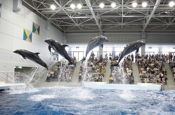 いおワールドかごしま水族館 入館チケット(鹿児島県 鹿児島市)