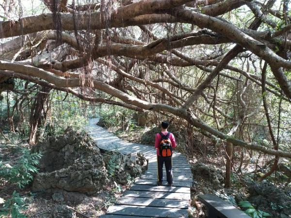 高雄柴山秘境之旅|小錐麓古道、一簾幽夢秘境半日遊