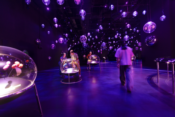 マンダイ ワイルド リザーブ エクスプロリア入場チケット(シンガポール)