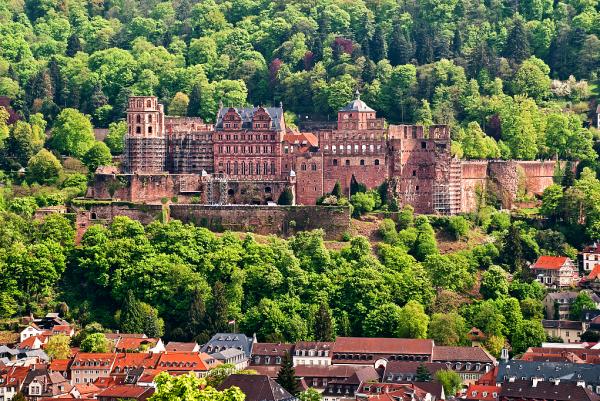 Day Trip from Frankfurt | Heidelberg, Rüdesheim, and Rhine Valley Cruise