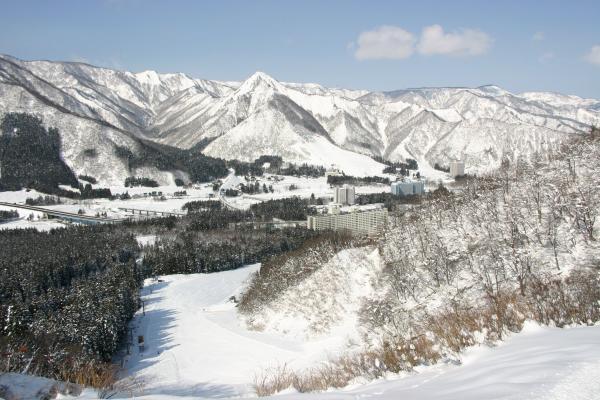 中里スノーウッドスキー場 リフト1日券(新潟県 南魚沼市)