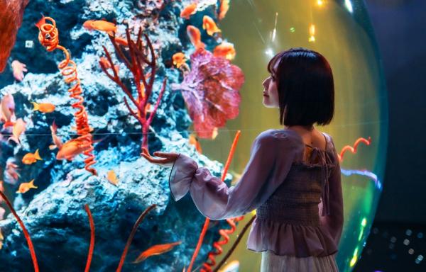 Kobe, Japan: A day trip to Funuki Herb Garden, ATOA Aquarium, America Park, Maya Mt. Kikuseidai, and Rokko Mt. night view.