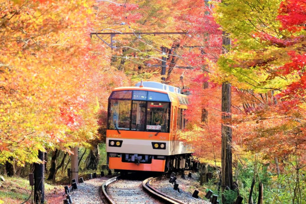 京都 Ee Kippu 叡山電車一日乘車票