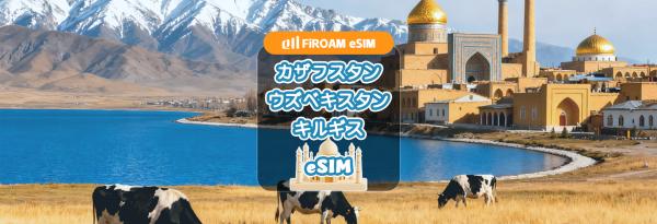 【50%割引】カザフスタン / キルギス  / ウズベキスタン eSIM