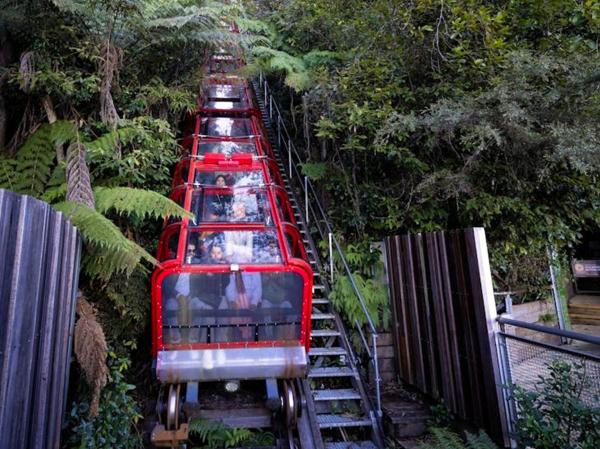 [Australia World Heritage Site] Sydney Blue Mountains National Park & Three Cable Car Tours - One-Day Tour + Chinese/English/Japanese Speaker/Guide