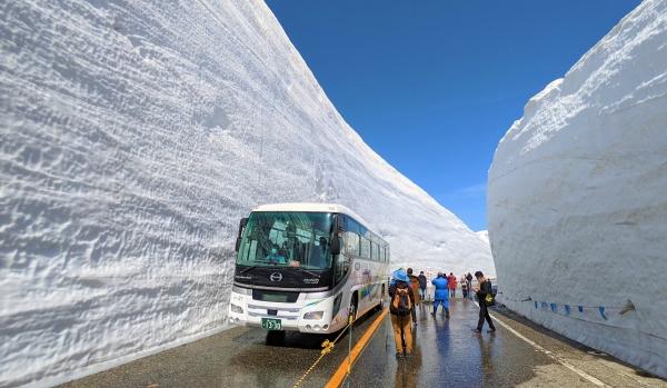 [Nagoya Departure] 3-Day Tour of Tateyama Kurobe Alpine Route | Kamikochi, Shirakawa-go Gassho-zukuri Village, Magome-juku & Tsumago-juku, Daio Wasabi Farm | Includes entrance fees, accommodation, and tour leader