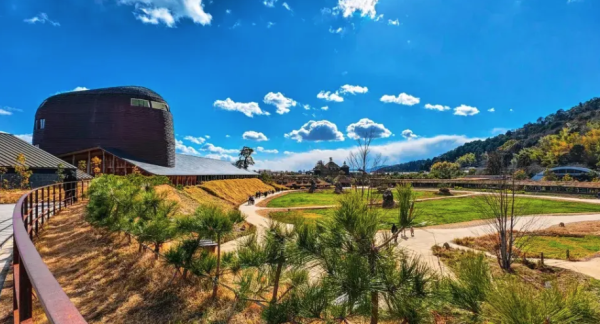 [Nagoya Departure] Hikone Castle + Yahatabori Promenade + La Collina Omi-Yahata + Kurokabe Plaza Luxury Day Trip | Comfortable Business Van + Minimum 4 People