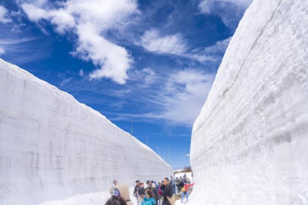 【保證出發】東京出發:立山黑部阿爾卑斯山脈路線「雪牆」(含通行證)&白川鄉2日遊