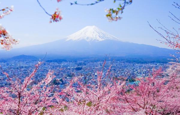 A perfect one-day tour of Mount Fuji in Japan | Arakurayama Sengen Park or Fuji Michi, Oshino Hakkai, Kawaguchiko Oishi Park (departing from Tokyo)