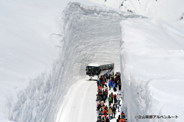 名古屋出發的立山黑部雪牆祭和白川鄉一日巴士遊