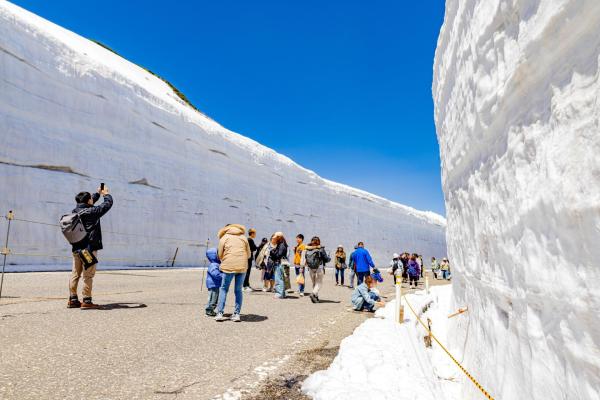 One-day tour of the Tateyama Kurobe Alpine Route in Japan (departing from Nagano and Kanazawa) | Includes Tateyama to Ogisawa transportation pass, guaranteed entry to the mountains