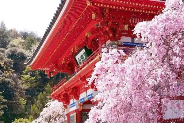 Admission ticket to Minoh Katsuoji Temple in Osaka, Japan