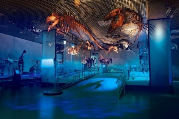 Tickets for the permanent exhibition at the National Museum of Nature and Science, Ueno, Tokyo, Japan