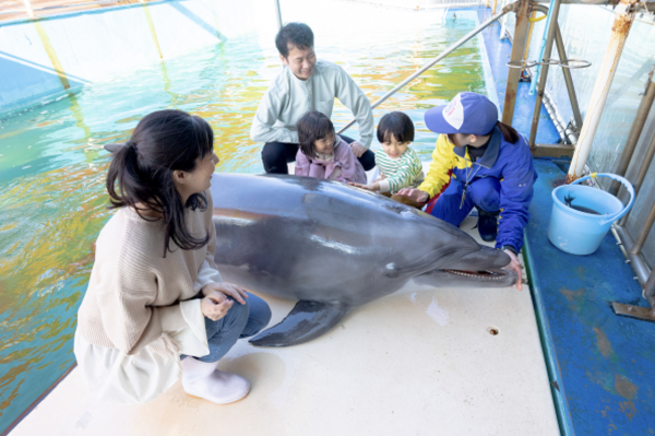 Toba, Mie | Cruise around Toba Bay and Dolphin Island | Popular Ise-Shima ticket reservations