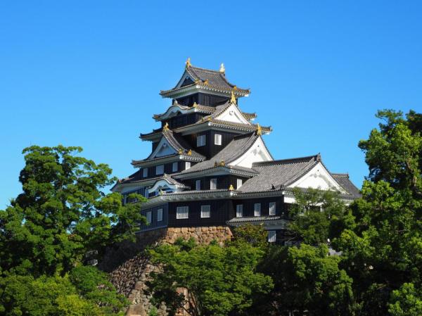 Okayama, Japan | Okayama Castle Keep Electronic Ticket