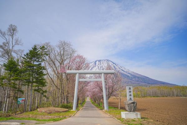 Hokkaido Noboribetsu + Magari Village + Meisui Park Day Trip | Scenic Tour of Mt. Yotei