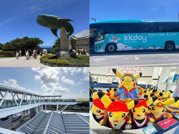 A day trip to popular attractions in central and northern Okinawa: Kouri Island Bridge, Okinawa Churaumi Aquarium, Michinoeki Kadena, AEON Mall, and Okinawa Raider Dream & Pokémon Center (Chinese-speaking guide)