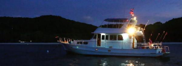 【【夜間海洋大挑戰】蘇美島夜釣體驗