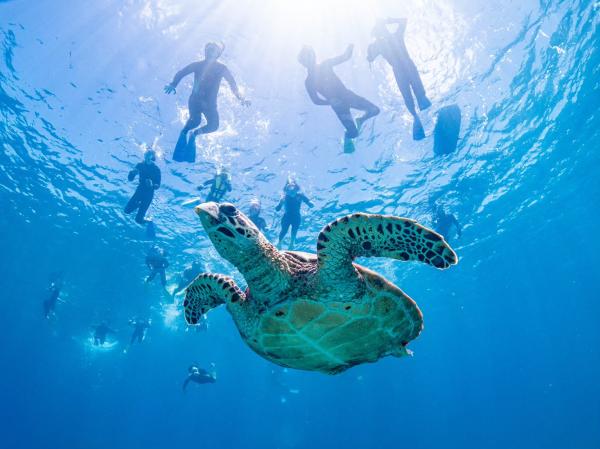 日本冲绳庆良间诸岛浮潜体验|超人气海域・中文服务・指定免费饭店接送
