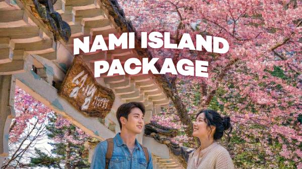 ソウル郊外日帰りツアー 南怡島 / 江村レールバイク / プチフランス / アチムゴヨ樹木園など