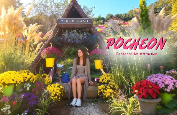 Pocheon & Seasonal Hot Attractions One Day Tour