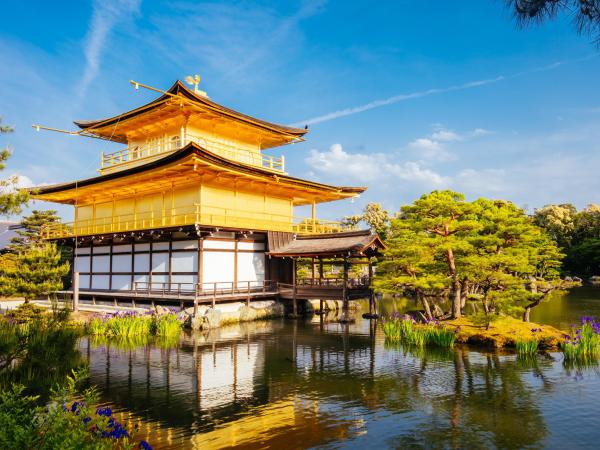 [1名様からツアー催行] 京都・奈良日帰りツアー|嵐山、伏見稲荷大社、金閣寺、奈良公園|黒毛和牛「神戸牛」しゃぶしゃぶランチプランへのアップグレード(大阪・京都発)