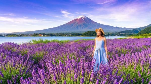 浅間公園、ニッカワ時計店、忍野八海、河口湖大石公園、ローソン、山中湖の白鳥の餌付けなど、富士山周辺の人気撮影スポット6ヶ所を巡る日帰りツアーです(中国語・英語・韓国語対応可)。