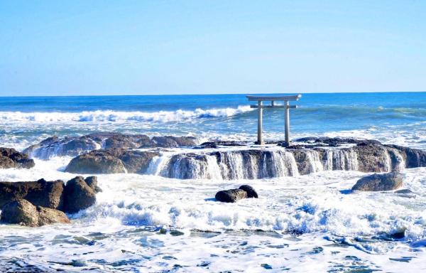 日本茨城常陸海濱公園花海・大洗鳥居・海鮮市場一日遊|東京出發