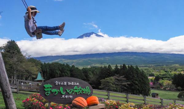 [Family Cherry Blossom Viewing Recommendation] One-day tour of popular spots including Mt. Fuji, Makaino Ranch, Lake Tanuki, and Arakurayama Sengen Park (shared car option available for groups of up to 9 people with hotel pick-up and drop-off).