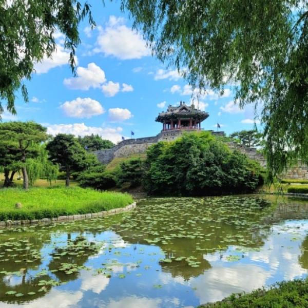 韓国ソウル発|韓国民俗村、水原華城、スターフィールド図書館、日月樹木園、光明洞窟を巡る日帰りツアー