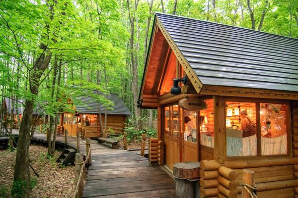Hokkaido Biei-Furano Day Trip | Shikisai-no-oka, Shirahige Falls, Christmas Tree, Forest Elf Terrace | Departing from Sapporo | All-you-can-eat cantaloupe & buffet lunch optional