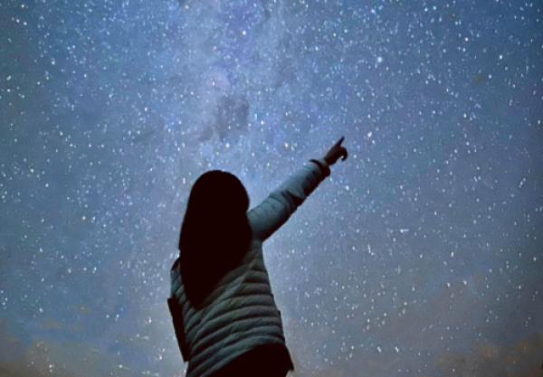 [*Small Group* Starlight Tour] Sunset Stargazing Blue Mountains & Featherdale Zoo Tour - Stargazing Night - (Korean Guide)